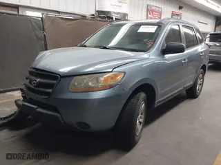 2009 Hyundai Santa Fe GLS with VIN 5NMSG13D69H316685, listed as a IAAI auction lot 41966283 with 147,761 mi miles. Bid and sale history available at carsss.com. Image 16.