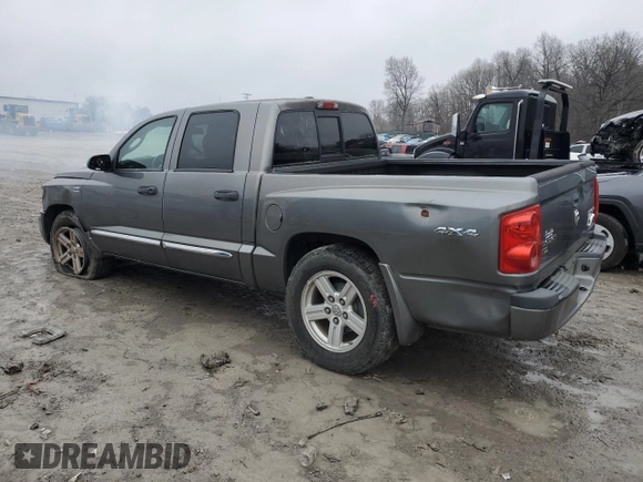 2010 Dodge Dakota Bighorn/Lonestar with VIN 1D7CW3GP5AS130822, listed as a Copart auction lot 42523155 with 103,081 mi miles and Salvage Title. Bid and sale history available at carsss.com. Image 2.