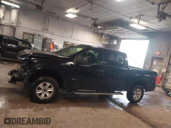 2016 Ford F-150 XLT with VIN 1FTEW1EG3GFB29227, listed as a IAAI auction lot 41947324 with 172,608 mi miles. Bid and sale history available at carsss.com. Image 15.