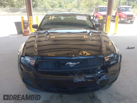 2011 Ford Mustang V6 с VIN 1ZVBP8AM6B5105584, выставлен на аукционе IAAI как лот 42686108 с пробегом 143 296 миль миль и . История ставок и продаж доступна на DreamBid. Изображение 12.