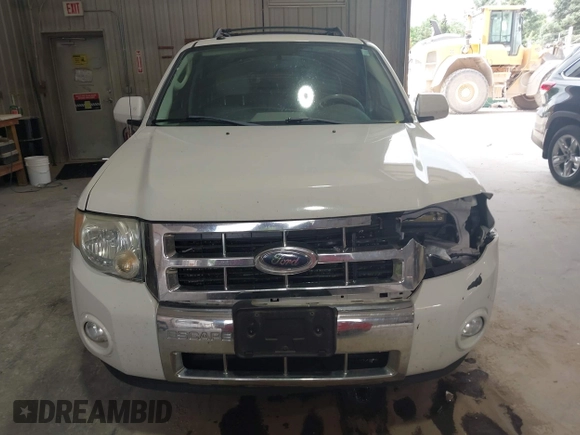 2009 Ford Escape Hybrid z VIN 1FMCU59329KB01081, wystawiony jako IAAI lot #42557114 z przebiegiem 206 972 mil mil oraz . Historia ofert i sprzedaży dostępna na DreamBid. Obrazek 12.