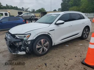 2024 Audi Q8 e-tron Premium Plus z VIN WA15AAGE8RB028666, wystawiony jako Copart lot #56522085 z przebiegiem 17 337 mil mil oraz Szkoda całkowita • Salvage title. Historia ofert i sprzedaży dostępna na DreamBid. Obrazek 1.
