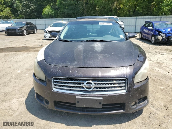 2010 Nissan Maxima 3.5 SV w/Sport Pkg with VIN 1N4AA5AP6AC865409, listed as a Copart auction lot 67453984 with 244,008 mi miles and Salvage Title. Bid and sale history available at carsss.com. Image 5.