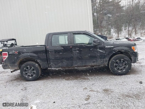 2014 Ford F-150 XL with VIN 1FTFW1EFXEFB24020, listed as a IAAI auction lot 41728918 with 117,729 mi miles. Bid and sale history available at carsss.com. Image 13.