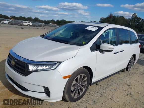 2024 Honda Odyssey EX-L with VIN 5FNRL6H65RB007535, listed as a IAAI auction lot 40602982 with 6,097 mi miles and . Bid and sale history available at DreamBid. Image 17.