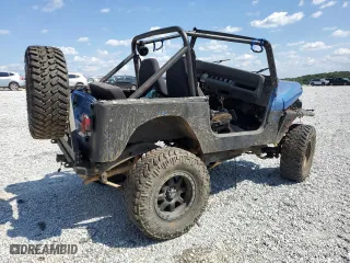 1993 Jeep Wrangler "S" with VIN 1J4FY19P3PP244827, listed as a Copart auction lot 68278774 with 0 mi miles and Salvage Title. Bid and sale history available at carsss.com. Image 3.