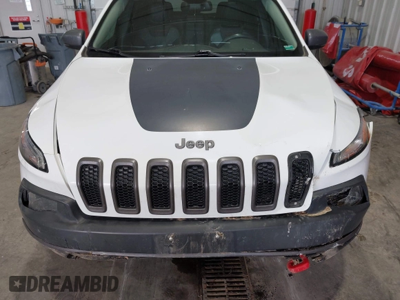 2017 Jeep Cherokee Trailhawk with VIN 1C4PJMBS5HW614956, listed as a IAAI auction lot 42079991 with 143,378 mi miles and . Bid and sale history available at DreamBid. Image 10.