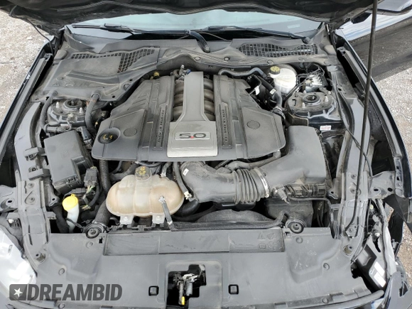 2018 Ford Mustang GT with VIN 1FA6P8CF6J5181359, listed as a Copart auction lot 56077125 with 79,573 mi miles and Salvage title. Bid and sale history available at DreamBid. Image 11.