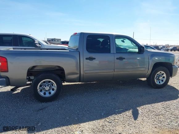 2009 Chevrolet Silverado 1500 LS with VIN 3GCEC13CX9G166432, listed as a IAAI auction lot 41450334 with 193,846 mi miles. Bid and sale history available at carsss.com. Image 13.