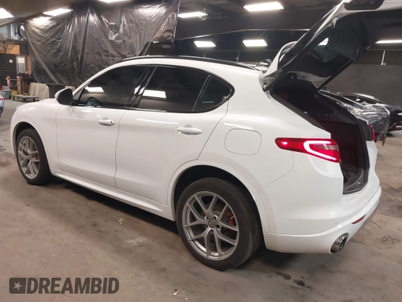 2020 Alfa Romeo Stelvio Ti z VIN ZASPAKBN9L7C92041, wystawiony jako IAAI lot #41329129 z przebiegiem 47 977 mil mil oraz . Historia ofert i sprzedaży dostępna na DreamBid. Obrazek 3.