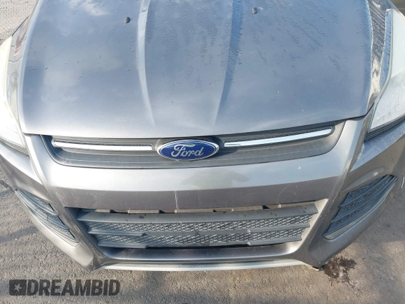 2013 Ford Escape SE with VIN 1FMCU0GX3DUC51805, listed as a IAAI auction lot 42481078 with 162,805 mi miles and . Bid and sale history available at DreamBid. Image 6.