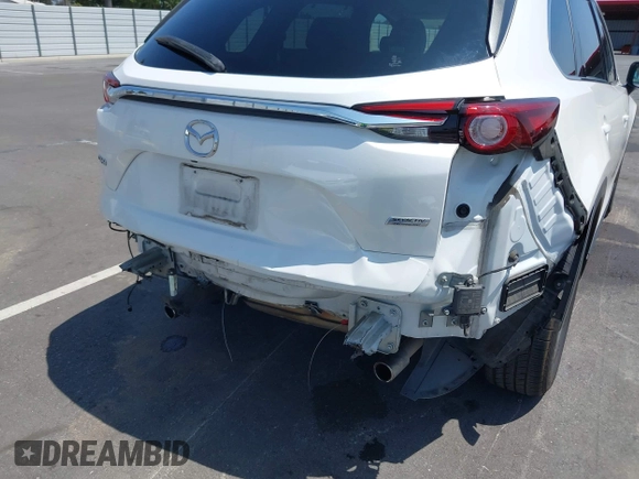 2019 Mazda CX-9 Touring with VIN JM3TCACY8K0300956, listed as a IAAI auction lot 42493003 with 123,709 mi miles and . Bid and sale history available at DreamBid. Image 6.