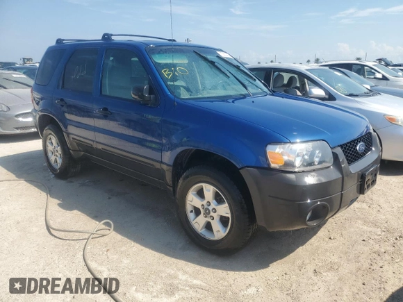 2007 Ford Escape XLT with VIN 1FMYU03117KC07213, listed as a Copart auction lot 75800064 with 0 mi miles and Non Repairable. Bid and sale history available at carsss.com. Image 4.