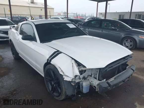 2013 Ford Mustang V6 with VIN 1ZVBP8AM8D5206791, listed as a IAAI auction lot 41156172 with 97,169 mi miles. Bid and sale history available at carsss.com. Image 1.