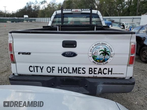 2013 Ford F-150 XL with VIN 1FTMF1CF1DFD34613, listed as a Copart auction lot 44708975 with Not provided miles and Salvage title. Bid and sale history available at DreamBid. Image 6.