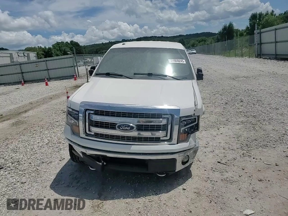 2013 Ford F-150 XL with VIN 1FTFX1EF4DFB02199, listed as a Copart auction lot 61959245 with 165,390 mi miles and Salvage title. Bid and sale history available at DreamBid. Image 13.