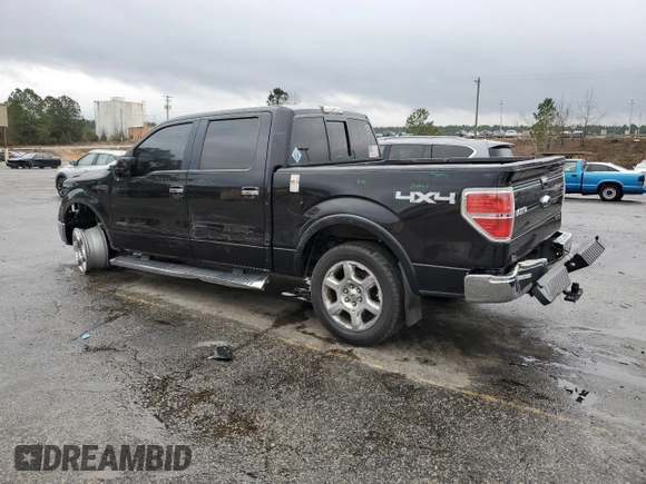 2013 Ford F-150 XL with VIN 1FTFW1ET2DKD16172, listed as a Copart auction lot 44027744 with 164,220 mi miles and Salvage Title. Bid and sale history available at carsss.com. Image 2.