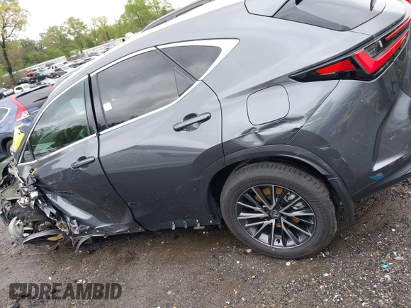 2024 Lexus NX 250 с VIN 2T2ADCAZ5RC006589, выставлен на аукционе IAAI как лот 41975513 с пробегом Не указан миль и . История ставок и продаж доступна на DreamBid. Изображение 14.