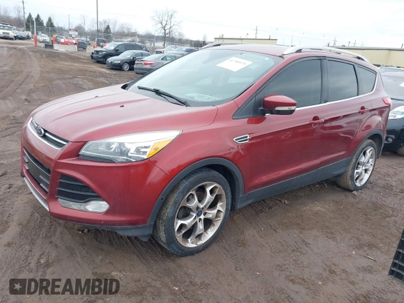 2014 Ford Escape Titanium with VIN 1FMCU0JXXEUB96456, listed as a IAAI auction lot 41700975 with 137,521 mi miles. Bid and sale history available at carsss.com. Image 2.
