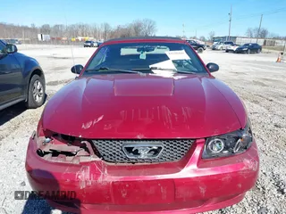 2004 Ford Mustang Deluxe with VIN 1FAFP44694F219365, listed as a IAAI auction lot 41628448 with 124,733 mi miles. Bid and sale history available at carsss.com. Image 13.