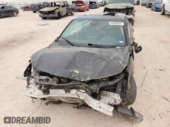 2023 Acura Integra w/A-Spec Package with VIN 19UDE4H31PA022989, listed as a Copart auction lot 44008855 with Not Provided miles and Salvage Title. Bid and sale history available at DreamBid. Image 5.