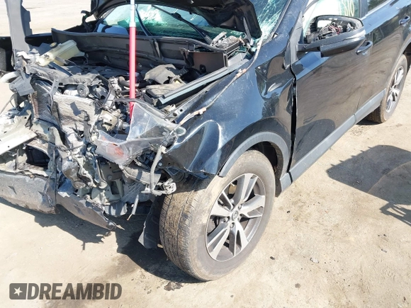 2018 Toyota RAV4 XLE with VIN 2T3WFREVXJW484872, listed as a IAAI auction lot 42144810 with Not provided miles and . Bid and sale history available at DreamBid. Image 6.