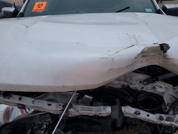 2019 Chevrolet Silverado 1500 LT with VIN 1GCRWCED9KZ219802, listed as a Copart auction lot 83620414 with Not Provided miles and Salvage Title. Bid and sale history available at DreamBid. Image 12.