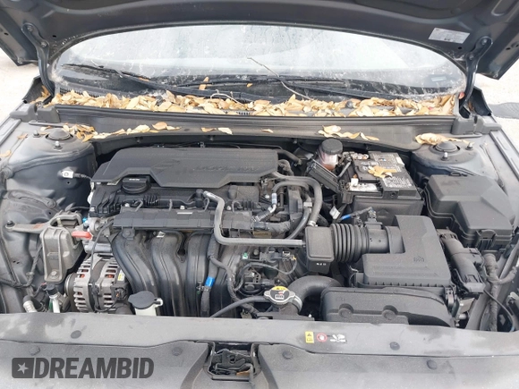 2023 Hyundai Elantra SEL with VIN 5NPLS4AG6PH112289, listed as a IAAI auction lot 41611466 with 56,084 mi miles and . Bid and sale history available at DreamBid. Image 10.