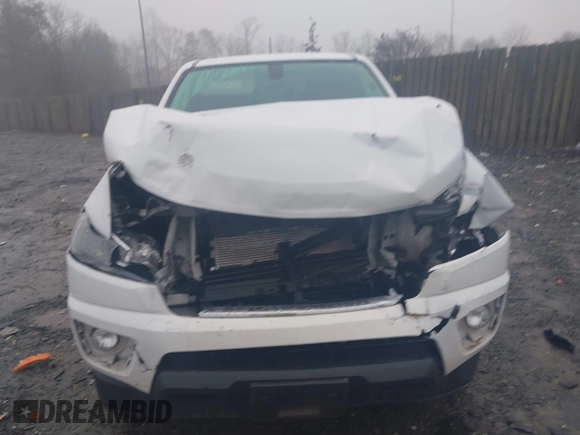 2019 Chevrolet Colorado 4WD LT with VIN 1GCHTCEN6K1140471, listed as a IAAI auction lot 41099674 with 139,141 mi miles. Bid and sale history available at carsss.com. Image 12.