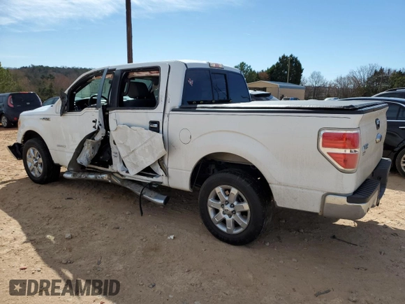 2014 Ford F-150 XL with VIN 1FTFW1CTXEFC60186, listed as a Copart auction lot 46981665 with 166,904 mi miles and Salvage Title. Bid and sale history available at carsss.com. Image 2.