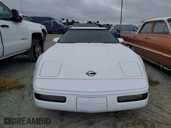 1995 Chevrolet Corvette z VIN 1G1YY22PXS5115866, wystawiony jako Copart lot #74983214 z przebiegiem Nie podano mil oraz Szkoda całkowita • Salvage title. Historia ofert i sprzedaży dostępna na DreamBid. Obrazek 5.