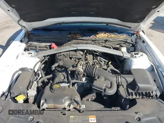 2012 Ford Mustang V6 with VIN 1ZVBP8EM4C5237285, listed as a IAAI auction lot 42601890 with 161,176 mi miles and . Bid and sale history available at DreamBid. Image 10.