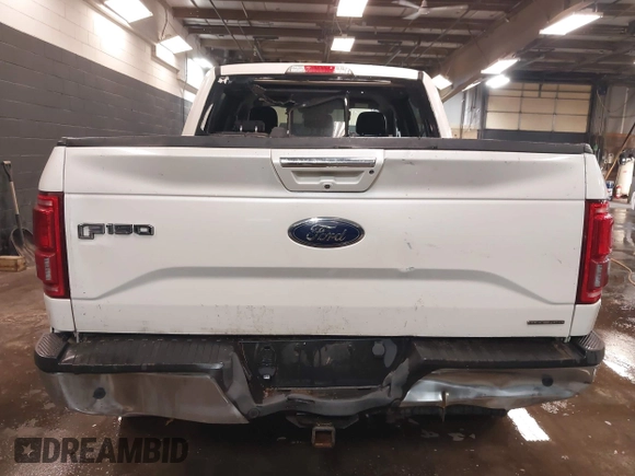 2016 Ford F-150 XLT with VIN 1FTEW1EF8GFC64193, listed as a IAAI auction lot 41590986 with 125,358 mi miles. Bid and sale history available at carsss.com. Image 17.