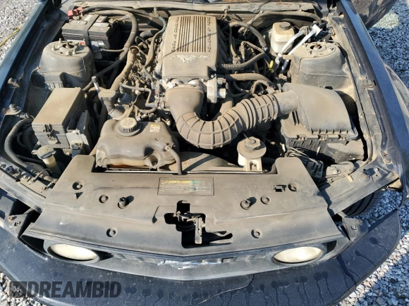 2008 Ford Mustang GT Deluxe with VIN 1ZVHT82H585171950, listed as a Copart auction lot 51599375 with 129,896 mi miles and Salvage Title. Bid and sale history available at carsss.com. Image 11.