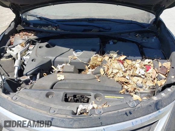 2013 Nissan Altima SV with VIN 1N4AL3AP8DN574126, listed as a IAAI auction lot 42873812 with 118,184 mi miles and . Bid and sale history available at DreamBid. Image 10.