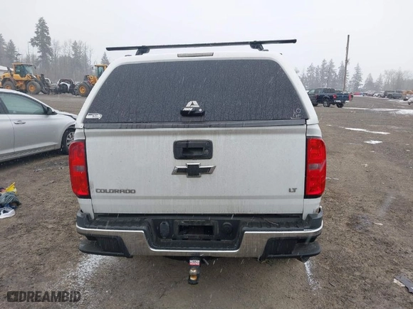 2017 Chevrolet Colorado 4WD LT with VIN 1GCPTCE10H1172303, listed as a IAAI auction lot 41572166 with 141,341 mi miles. Bid and sale history available at carsss.com. Image 16.