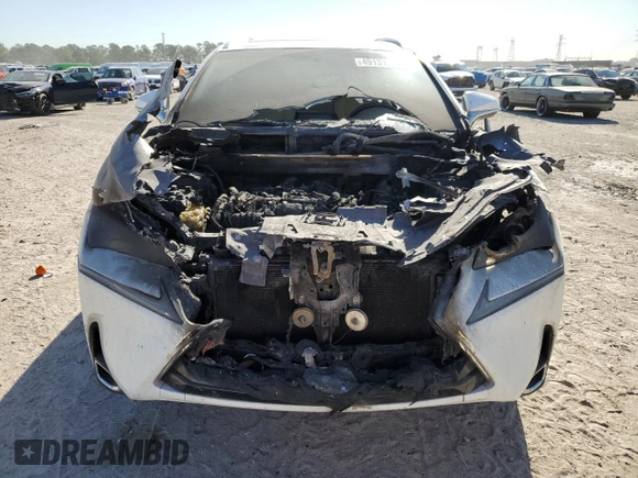2015 Lexus NX 200t with VIN JTJYARBZ7F2004122, listed as a Copart auction lot 49131895 with 0 mi miles and Salvage Title. Bid and sale history available at carsss.com. Image 5.