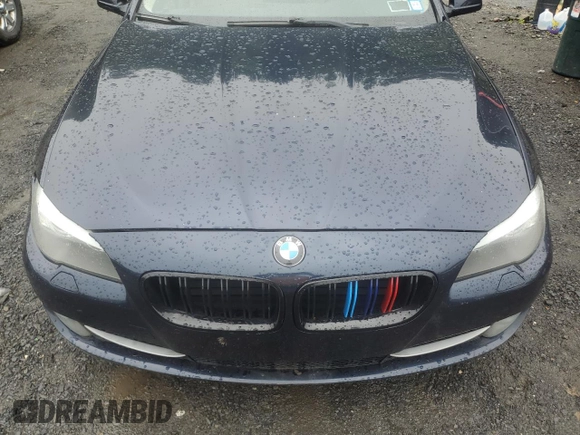 2011 BMW 5 Series 550i z VIN WBAFR9C57BC271325, wystawiony jako Copart lot #60269885 z przebiegiem 134 518 mil mil oraz Szkoda całkowita • Salvage title. Historia ofert i sprzedaży dostępna na DreamBid. Obrazek 11.