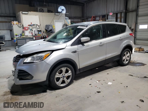 2013 Ford Escape SE with VIN 1FMCU9G98DUA13874, listed as a Copart auction lot 49039595 with 169,686 mi miles and Salvage Title. Bid and sale history available at DreamBid. Image 1.
