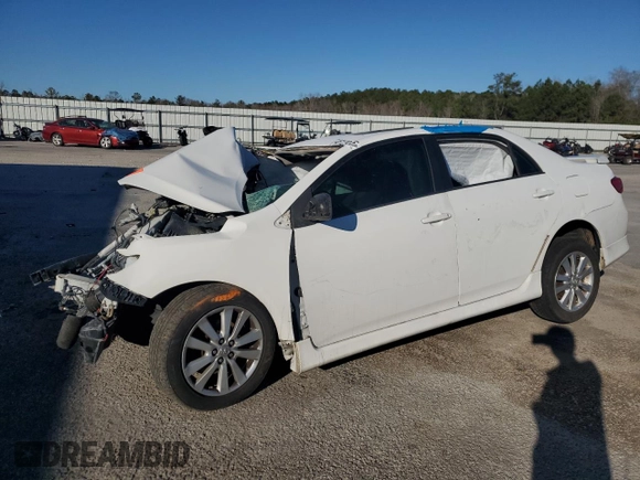 2010 Toyota Corolla with VIN 2T1BU4EE8AC316486, listed as a Copart auction lot 48129755 with Not Provided miles and Clean Title. Bid and sale history available at DreamBid. Image 1.