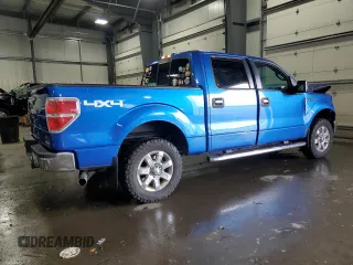 2013 Ford F-150 XL with VIN 1FTFW1EF1DKF18124, listed as a Copart auction lot 59978075 with 151,545 mi miles and Salvage title. Bid and sale history available at DreamBid. Image 3.