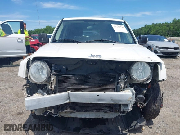 2010 Jeep Patriot Latitude z VIN 1J4NT1GA1AD621060, wystawiony jako IAAI lot #42295782 z przebiegiem 158 352 mil mil oraz . Historia ofert i sprzedaży dostępna na DreamBid. Obrazek 13.