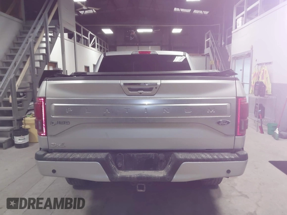 2017 Ford F-150 XL with VIN 1FTEW1EG4HFC45490, listed as a IAAI auction lot 41505033 with 122,991 mi miles. Bid and sale history available at carsss.com. Image 17.