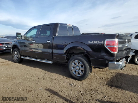 2013 Ford F-150 XL with VIN 1FTFW1ET0DKD81487, listed as a Copart auction lot 49711065 with 197,560 mi miles and Salvage Title. Bid and sale history available at carsss.com. Image 2.