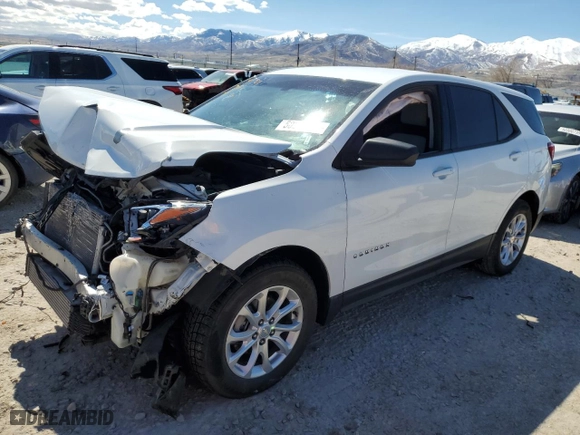 2019 Chevrolet Equinox LS with VIN 3GNAXHEVXKS626192, listed as a Copart auction lot 50269295 with 123,162 mi miles and Salvage Title. Bid and sale history available at carsss.com. Image 1.