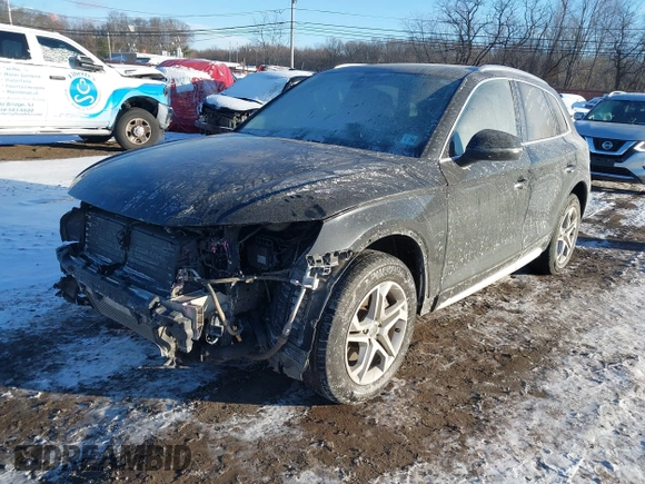 2019 Audi Q5 Premium with VIN WA1ANAFY9K2069635, listed as a IAAI auction lot 41252649 with 91,199 mi miles. Bid and sale history available at carsss.com. Image 19.