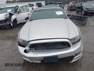 2013 Ford Mustang V6 with VIN 1ZVBP8EM4D5217006, listed as a IAAI auction lot 41560921 with 95,877 mi miles and . Bid and sale history available at DreamBid. Image 13.