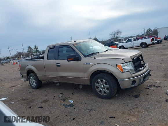 2013 Ford F-150 XL with VIN 1FTFX1CF2DKG17552, listed as a IAAI auction lot 41453163 with 219,859 mi miles and . Bid and sale history available at DreamBid. Image 13.