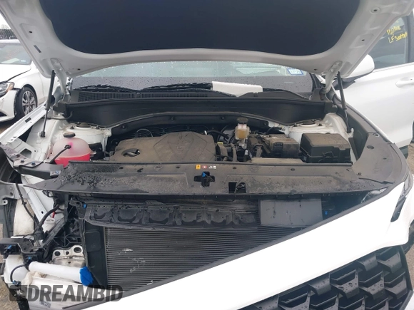 2023 Hyundai Santa Fe SE with VIN 5NMS14AJ3PH637561, listed as a IAAI auction lot 41905620 with 5,937 mi miles and . Bid and sale history available at DreamBid. Image 10.