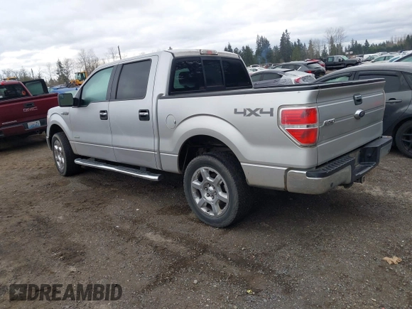 2013 Ford F-150 XL with VIN 1FTFW1ET5DFE08014, listed as a IAAI auction lot 41690487 with 171,644 mi miles. Bid and sale history available at carsss.com. Image 3.